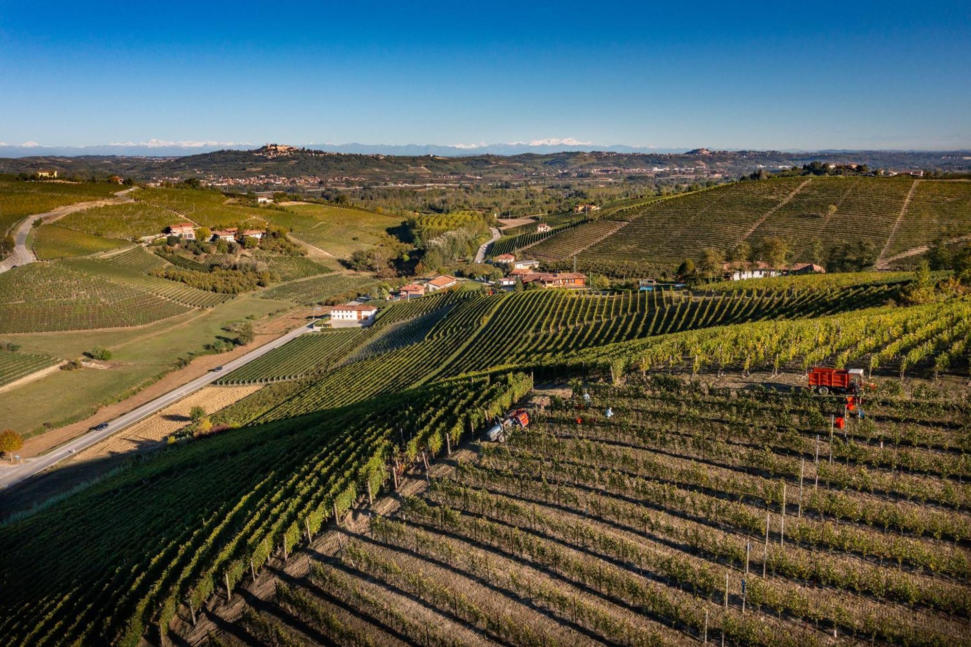 Agriturismo Antichi Poderi Gallina Neive Εξωτερικό φωτογραφία